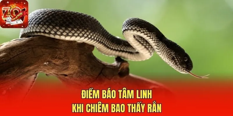 Điềm báo tâm linh khi chiêm bao thấy rắn